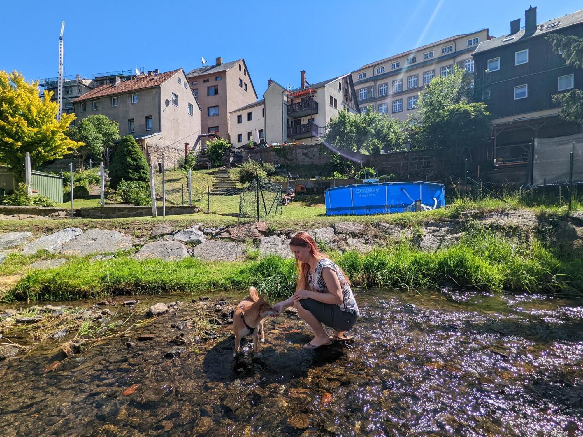 Ut - Urlaubsmagie - Urlaubstraum Mit Whirlpool, Pool & Sauna Sebnitz Eksteriør bilde