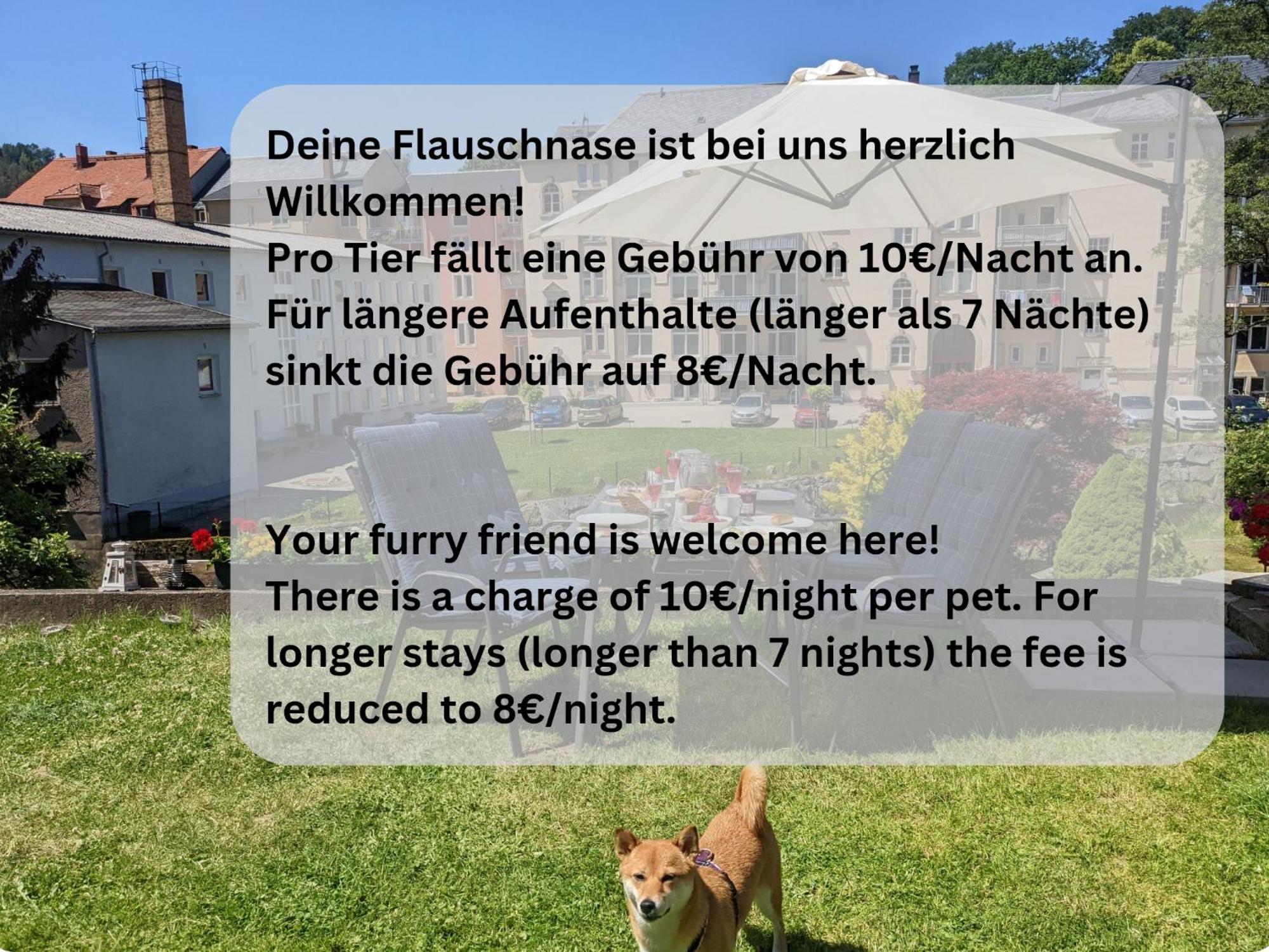 Ut - Urlaubsmagie - Urlaubstraum Mit Whirlpool, Pool & Sauna Sebnitz Eksteriør bilde